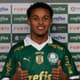 Lazaro-Palmeiras-2-aspect-ratio-512-320