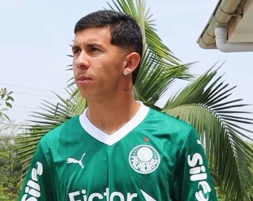 Felipe Teresa, reforço do Palmeiras, deixou o Flamengo em setembro (Foto: Reprodução redes sociais)