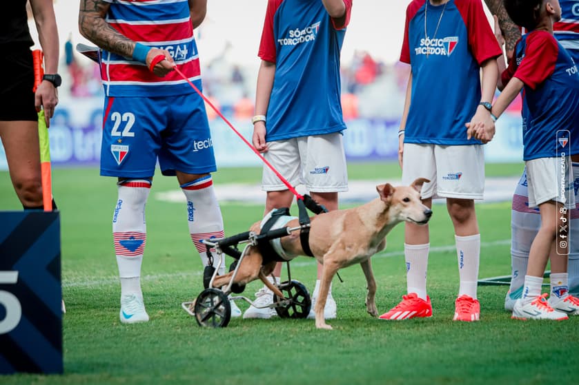 Fortaleza realizou ação social com cachorros (Foto: Mateus Lotif/Fortaleza EC)