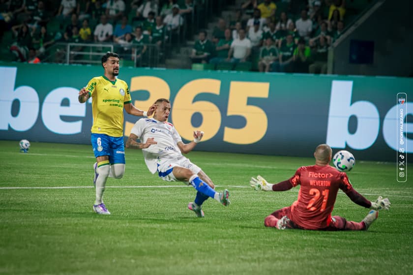 Partida entre Palmeiras e Fortaleza, pelo Brasileirão (Mateus Lotif/Fortaleza EC)
