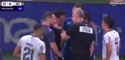 Bandeirinha foi substituído no Brasileirão (Foto: Reprodução)