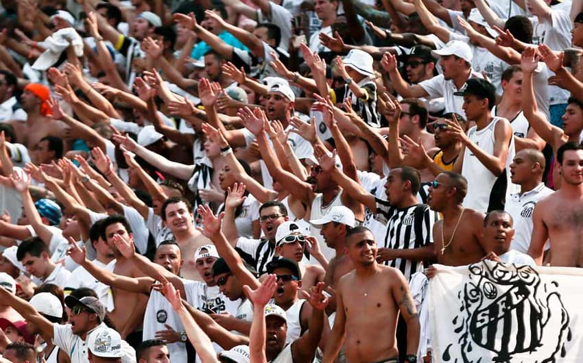 Palmeiras x Santos - Torcida (Foto: Ale Cabral/ LANCE!Press)
