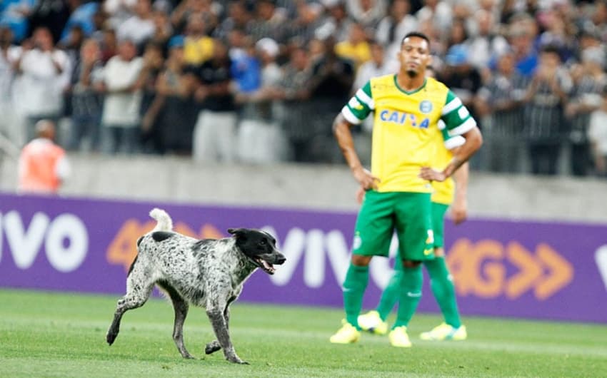 Corinthians arranca empate do Coritiba no último lance (Foto: Reginaldo Castro/ LANCE!Press)