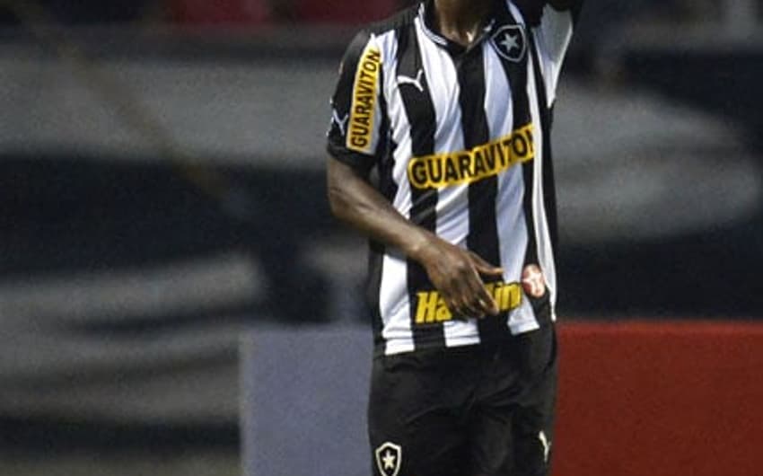 Botafogo x Fluminense - Campeonato Brasileiro - Gol do Andrezinho (Foto: Alexandre Loureiro)