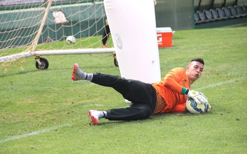 Goleiro Danilo (Foto: Site oficial Chapecoense)