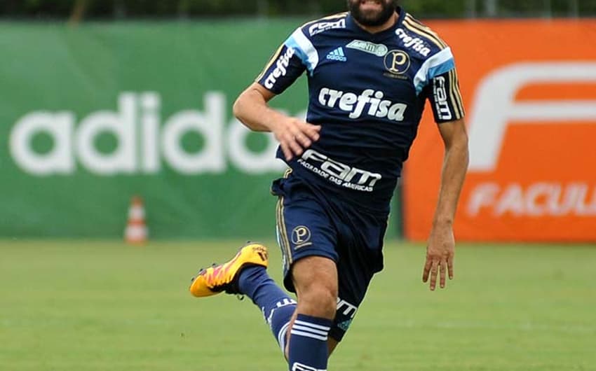Allione - Palmeiras