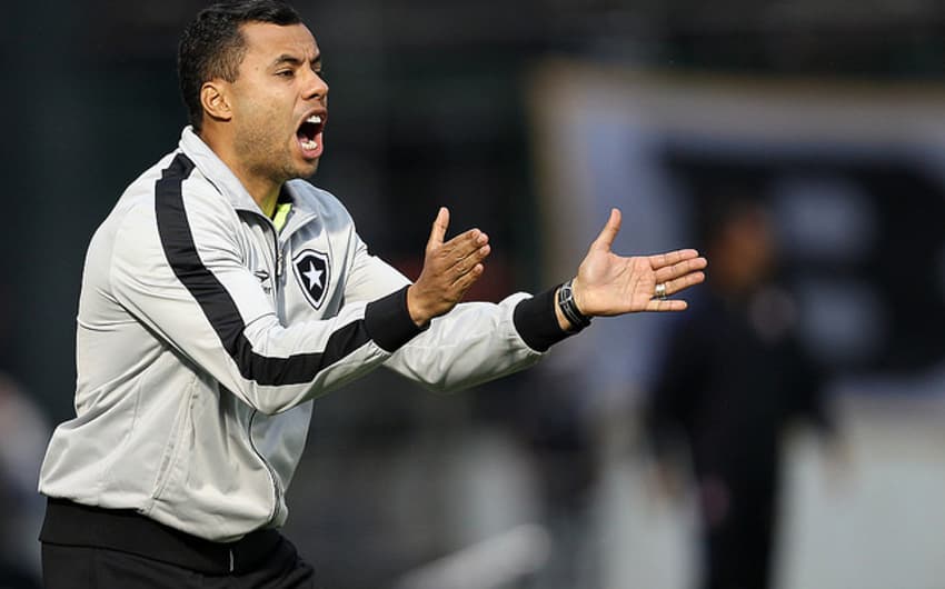 Jair Ventura tem postura enérgica e participativa, que vem ajudando Botafogo a reagir no Brasileirão