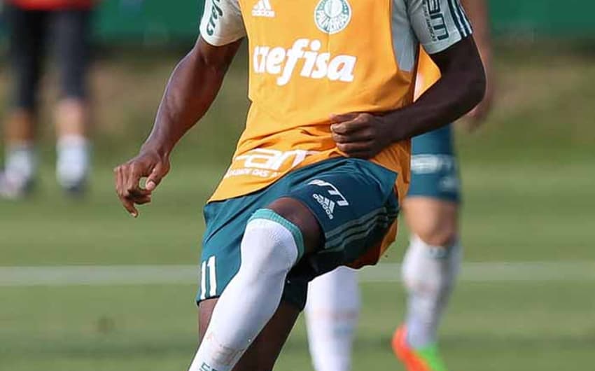 Treino Palmeiras - Zé Roberto