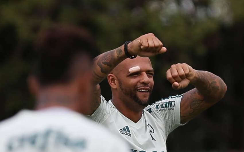 Felipe Melo volta ao Palmeiras