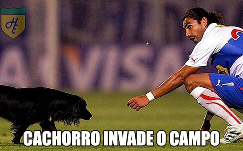 Na Libertadores cachorro invade o campo. E quem não ama cachorros?