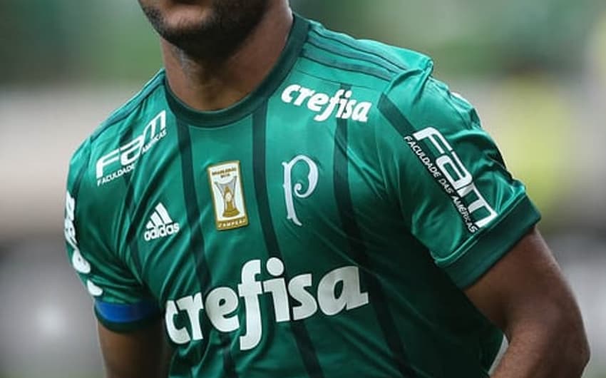 Borja - Palmeiras