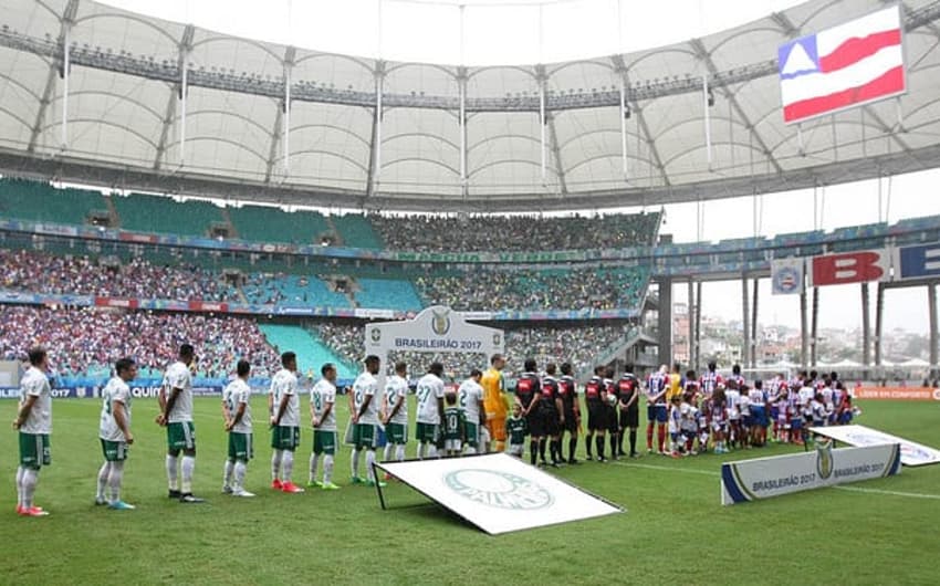 Torcida do Palmeiras ocupou três setores da Fonte Nova (Foto: Cesar Greco/Palmeiras)