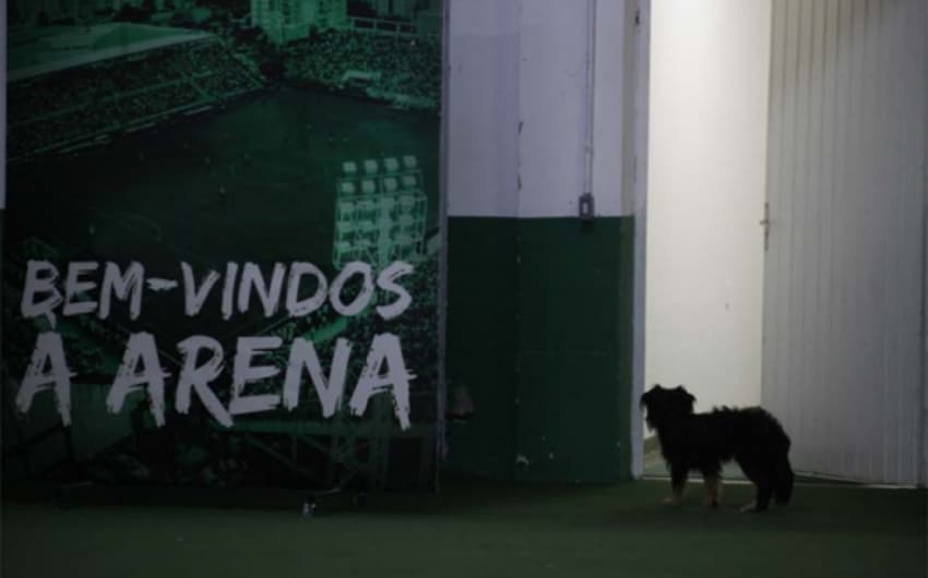 WO duplo - Arena Condá (Divulgação)