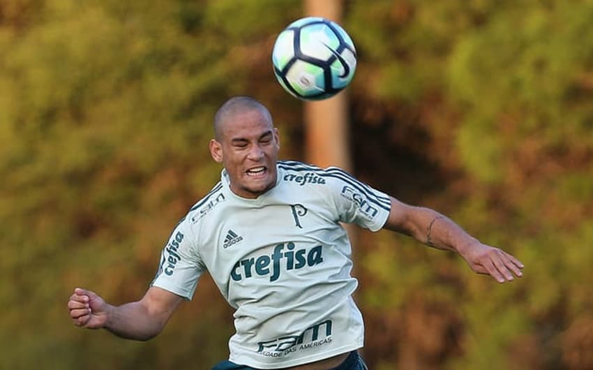 Gabriel Furtado - Palmeiras