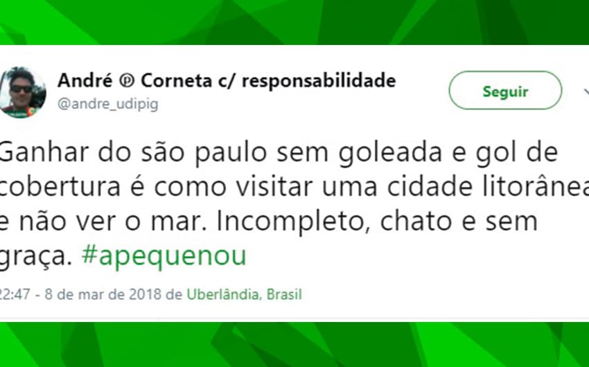 Torcedores do Palmeiras brincam após vitória sobre o São Paulo