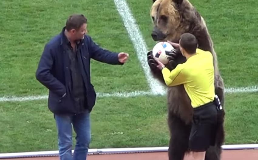 Urso em jogo da Terceira Divisão da Rússia
