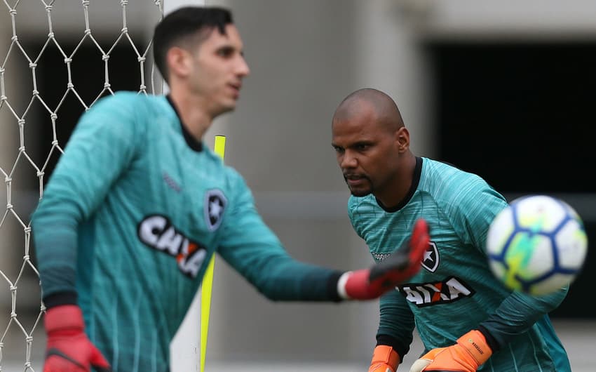 Gatito e Jefferson - Botafogo