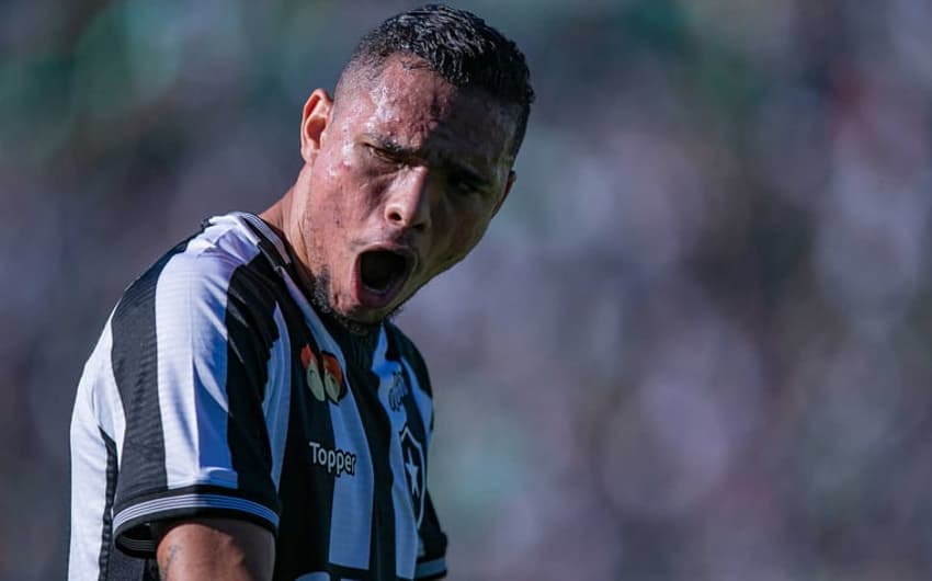 Botafogo venceu a Chape com gols de Luiz Fernando. Veja a seguir mais fotos da partida