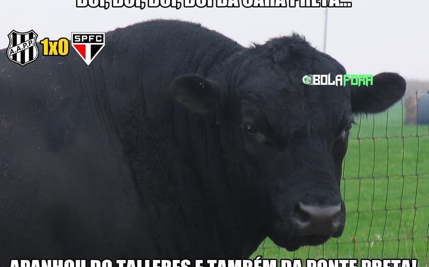 Memes: Ponte Preta 1 x 0 São Paulo