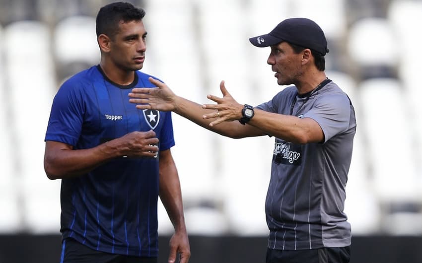 Zé Ricardo e Diego Souza - Botafogo