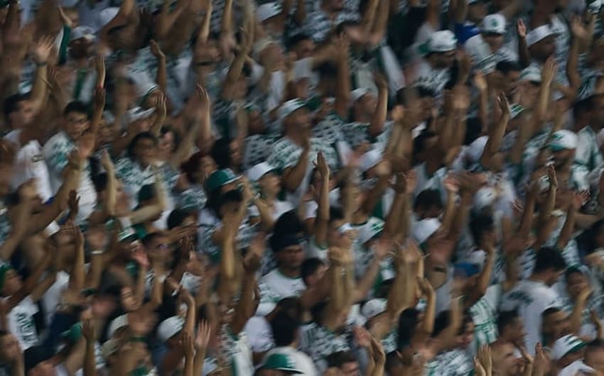 Torcedores do Palmeiras xingaram a Rede Globo durante partida exibida na TNT