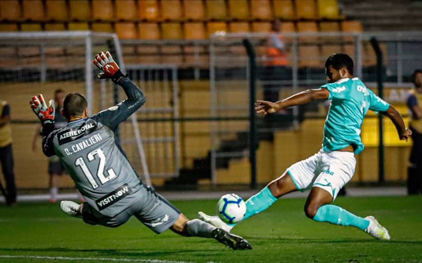 Palmeiras x Botafogo - Cavalieri