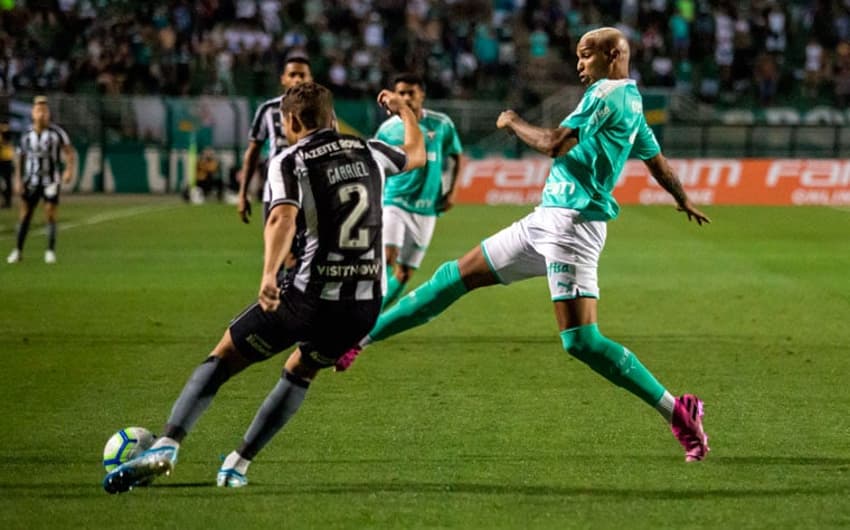 Palmeiras x Botafogo - Gabriel