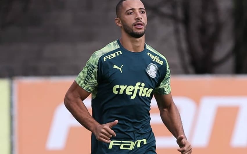 Vitor Hugo Palmeiras