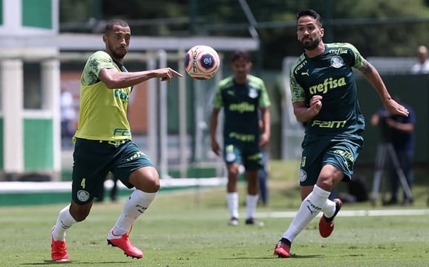 Vitor Hugo Luan Palmeiras