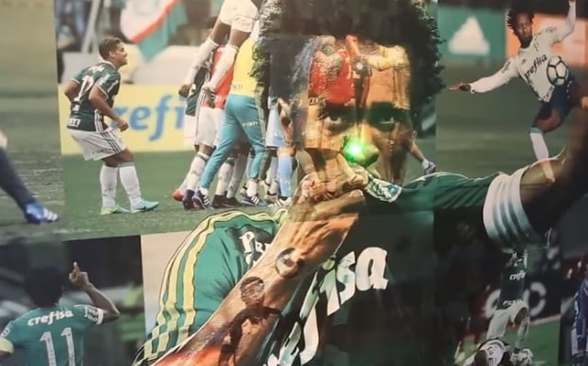 Zé Roberto Palmeiras