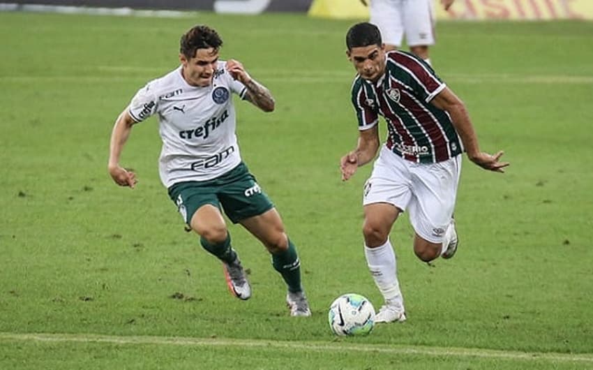 Michel Araújo - Fluminense x Palmeiras