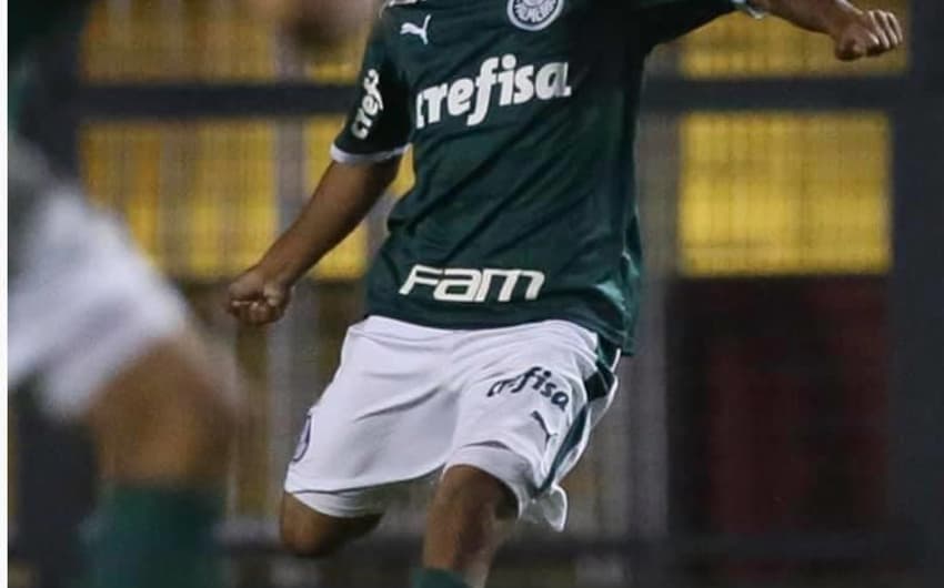 Juninho - Palmeiras