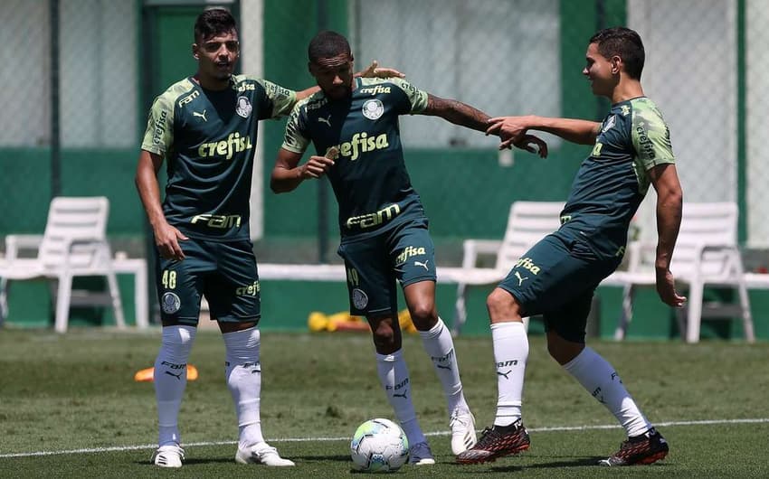 Wesley Gabriel Menino Palmeiras