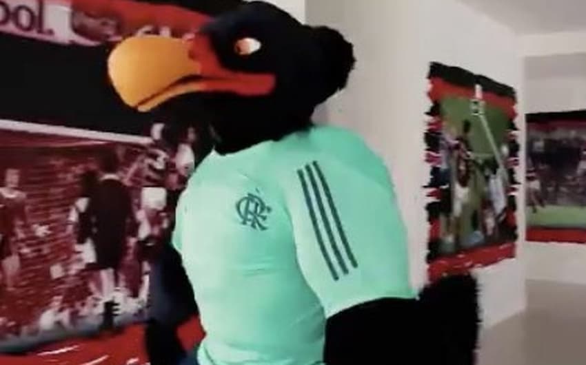 Urubu mascote do Flamengo