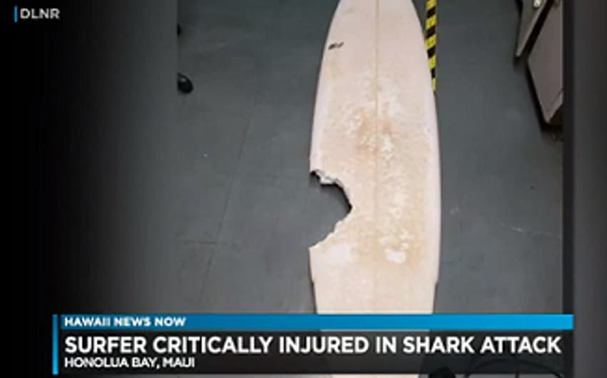 Surfista amador morreu após ataque de tubarão no Havaí (Foto: Reprodução)