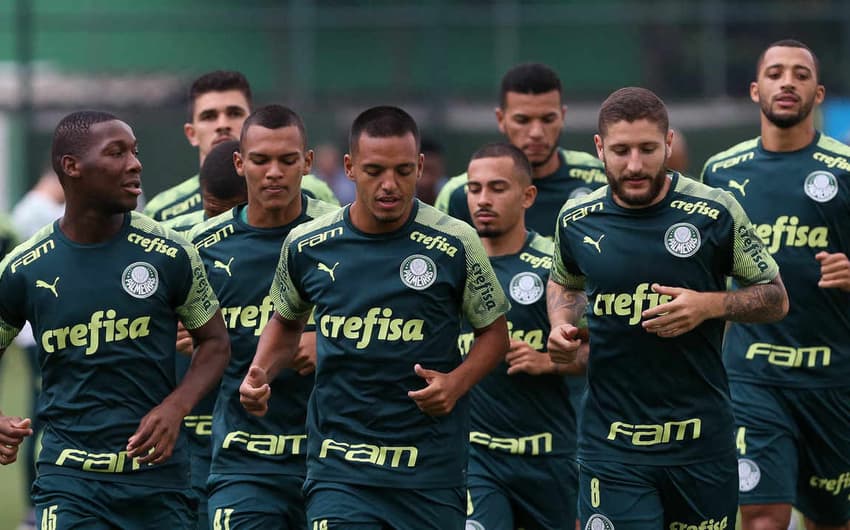 Palmeiras base