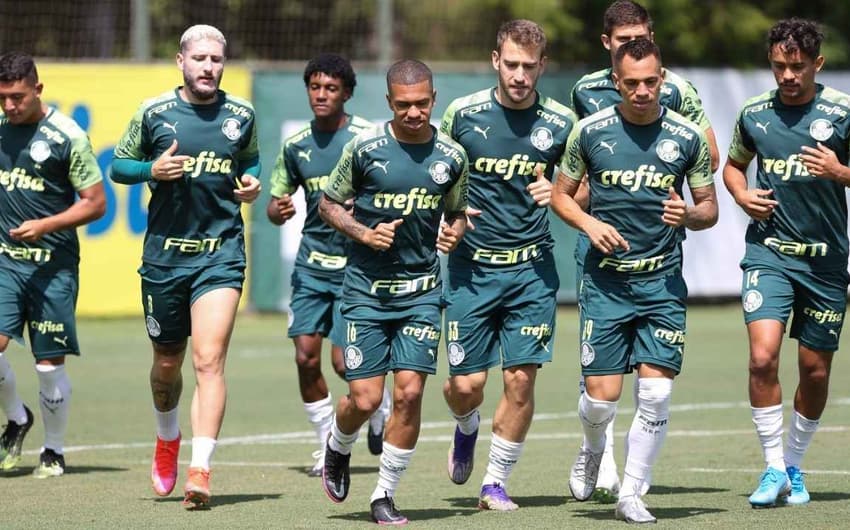 Palmeiras treino