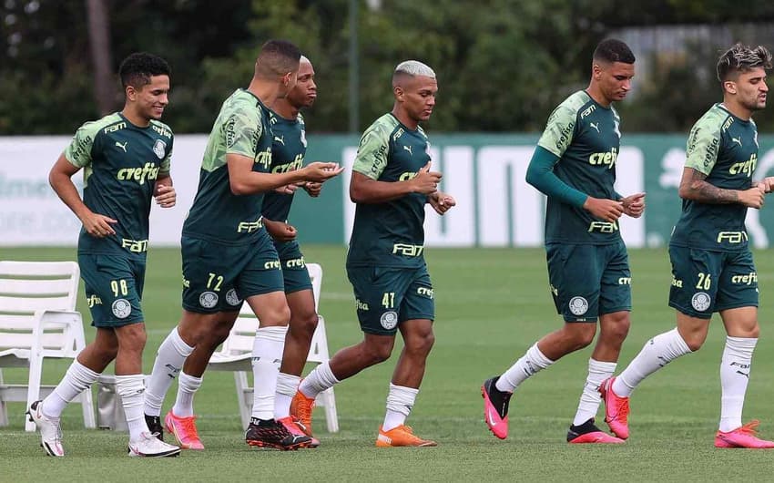 Palmeiras treino