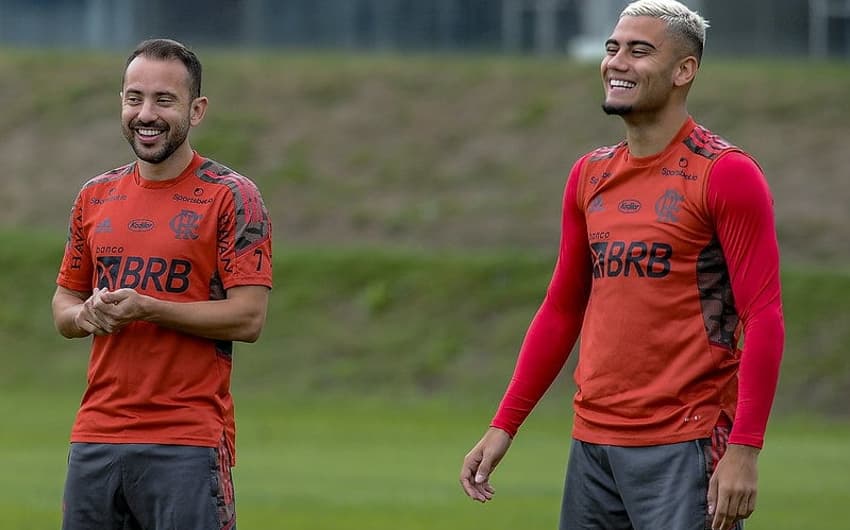 Everton Ribeiro e Andreas Pereira