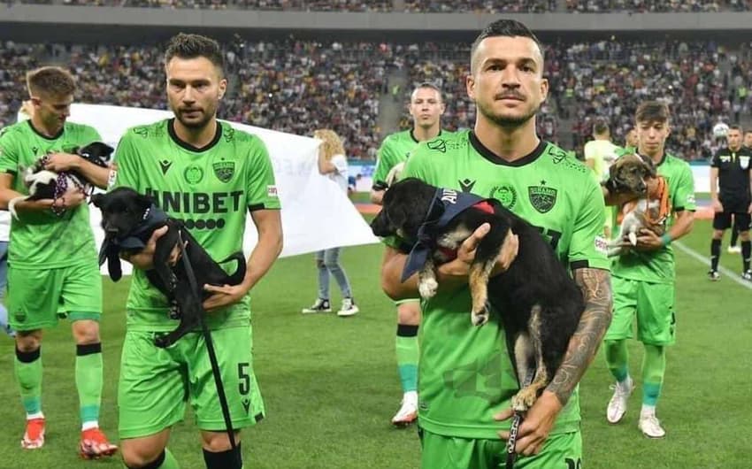 Dinamo Bucareste - cachorros