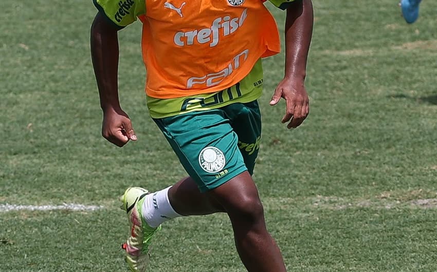 Endrick Palmeiras