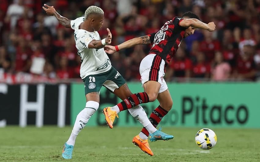 Flamengo x Palmeiras - Danilo