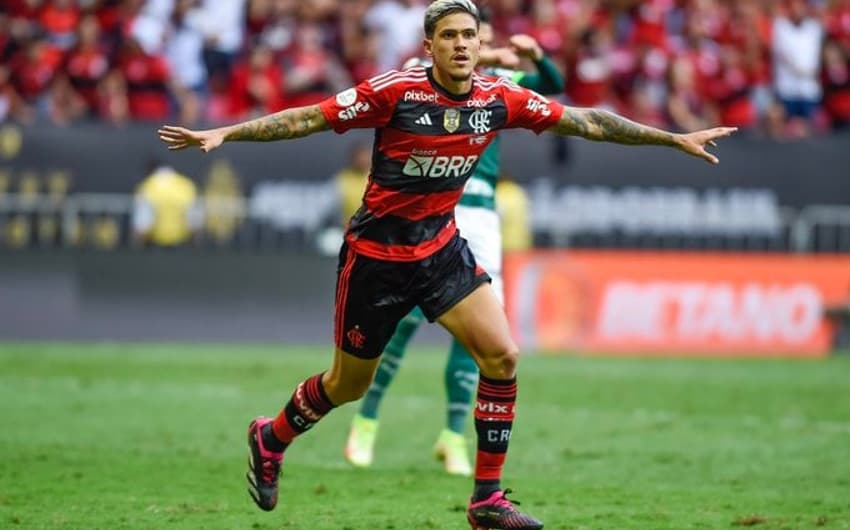 Palmeiras x Flamengo - Pedro