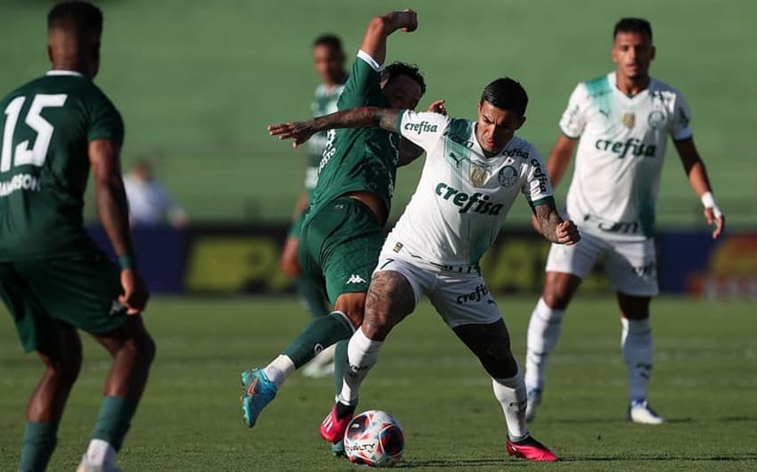 Guarani 0 x 0 Palmeiras - Paulistão 2023 - Dudu