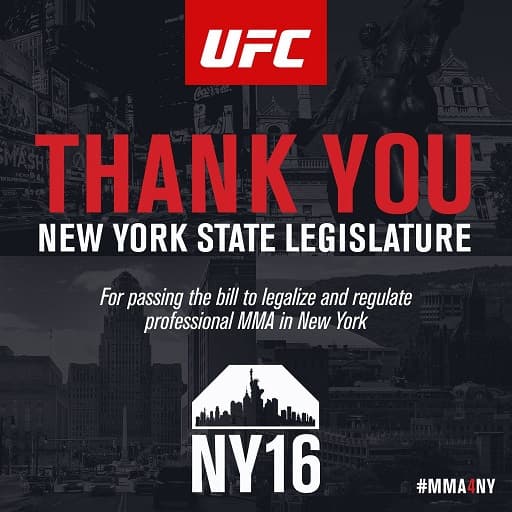 MMA Nova York (FOTO: Divulgação)