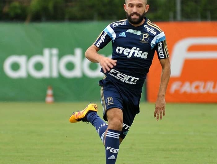 Allione - Palmeiras