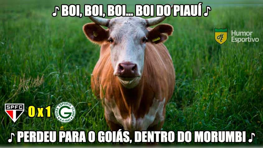 Brasileirão: os memes de São Paulo 0 x 1 Goiás