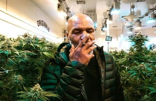 Mike Tyson recuperou parte da fortuna com negócios na cannabis (Foto: Reprodução)