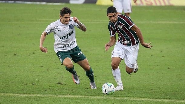 Michel Araújo - Fluminense x Palmeiras
