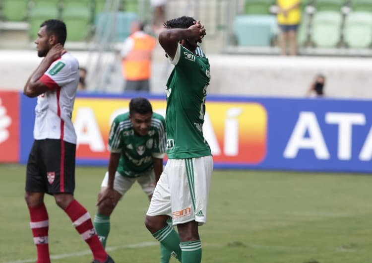 Campeonato Paulista - Palmeiras x Linense (foto:Reginaldo Castro/LANCE!Press)